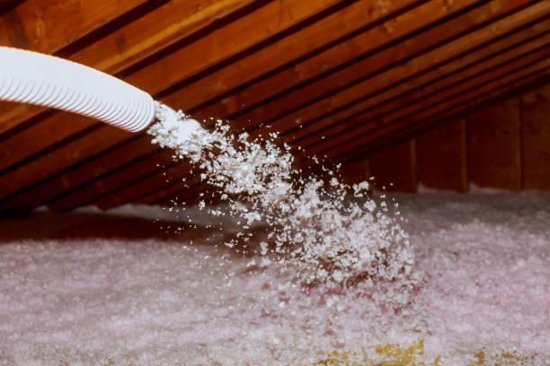 Best Fiberglass Insulation  in Burlington, WA
