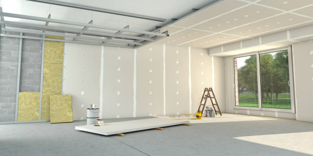 Best Insulation Removal  in Burlington, WA