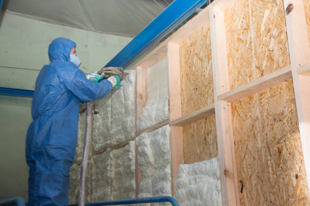 Best Affordable Insulation Services  in Burlington, WA