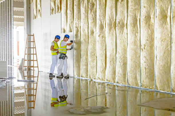 Best Spray Foam Insulation  in Burlington, WA